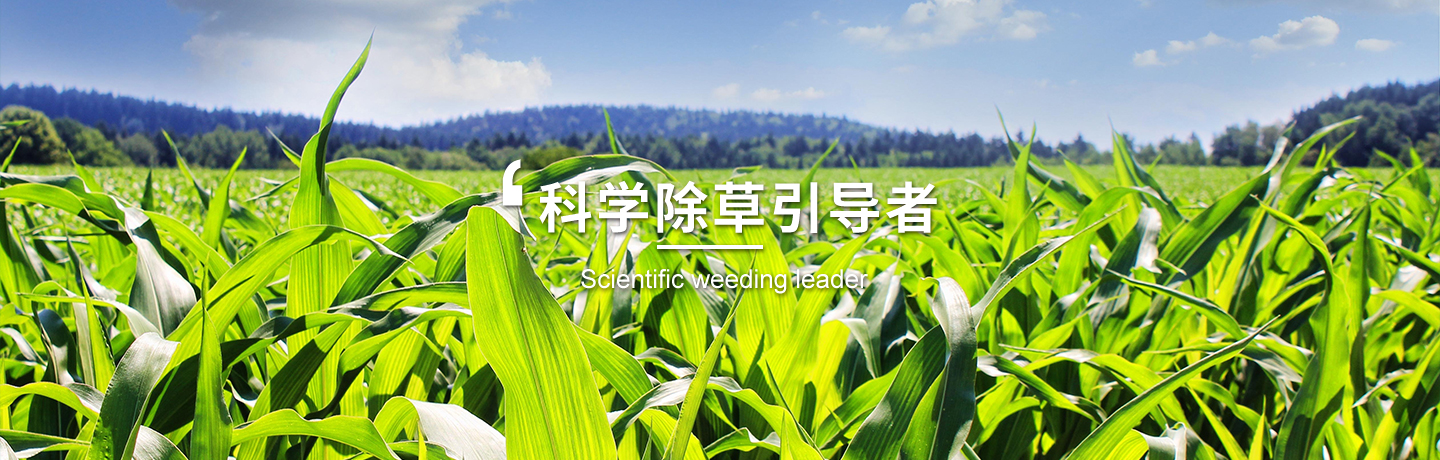 天津經(jīng)作類(lèi)除草劑訂購(gòu)、天津高粱田除草劑