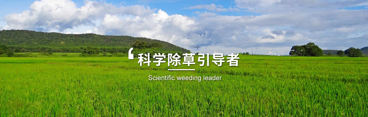 天津高粱田除草劑、河北玉米田除草劑
